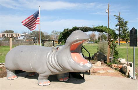 hermes hippo|hippo museums in hutto.